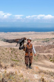 Traditional Kyrgyz eagle hunter hunting in the mountains in a dry landscape, near Kysyl-Suu, Issyk