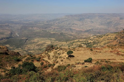 Landscape in the Choke Mountains, view into the valley, Ethiopia, Africa