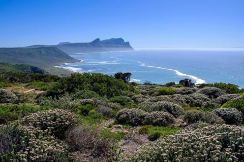 Cape Point Nature Reserve, Cape Point, Cape of Good Hope, Cape Peninsula, Western Cape, South