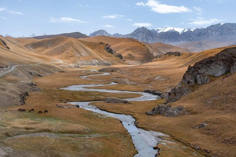 River Kol Suu winds through a mountain valley with hills of yellow grass, Naryn Province,