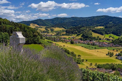 Landscape, Glottertal, Village, Black Forest, Germany, Europe