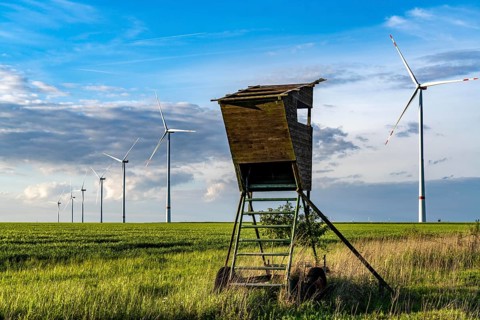 RWE wind farm near Bedburg, at the Garzweiler opencast mine, on recultivated part of the opencast