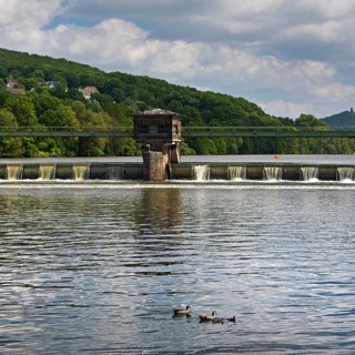 Nile goose family (Alopochen aegyptiaca) at the weir of the Stiftsmühle run-of-river power station,