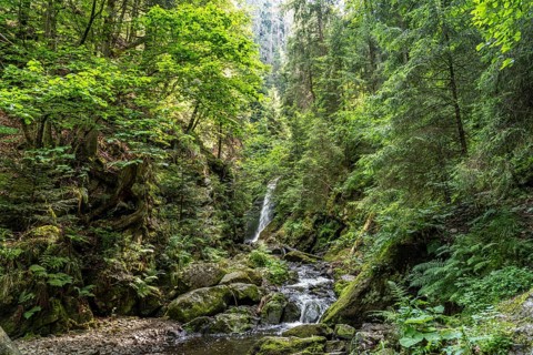 Waterfall Großer Ravennafall in the Ravenna Gorge near Breitnau, Black Forest, Baden-Württemberg,