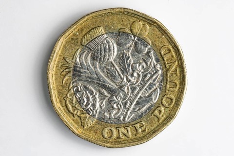 Close-up of the reverse of a British one pound coin, white background