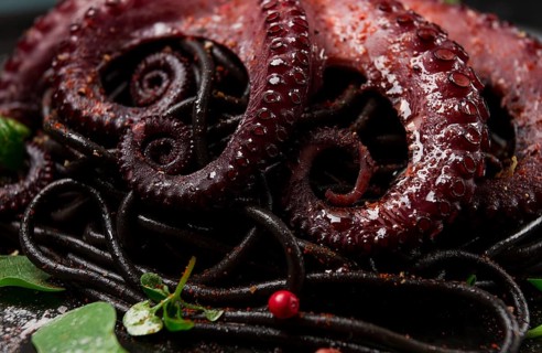 Octopus with black spaghetti, pasta, spices and herbs, top view, no people