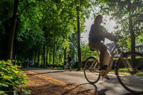 Promenade cycle path, tree-lined, car-free, approximately 4.5 km long ring road around the city
