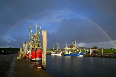 Fishing boats in the harbour of Tammensiel, rainbow, Pellworm Island, Schleswig-Holstein Wadden Sea