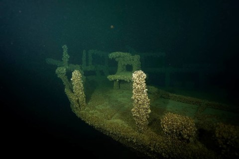 Dark underwater image of an abandoned shipwreck, covered with mussels, quagga triangle mussel