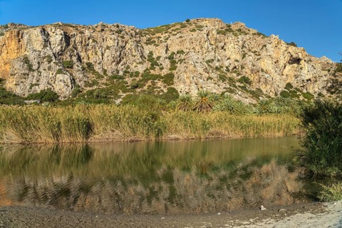 Phoenix theophrasti palms and the river Megalopotamos in the gorge of Preveli, Crete, Greece,