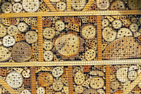 Insect hotel, wildflower meadow at the park cemetery in Essen, the city's largest cemetery, North