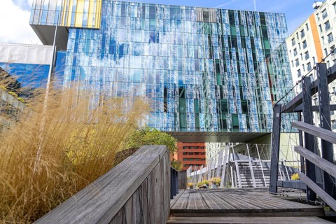 Green spaces around buildings, here at Hogeschool Inholland Rotterdam, plant beds at passageways,