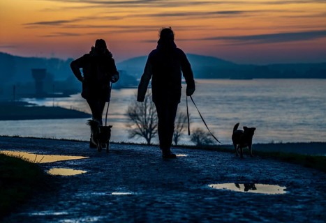 Rhine near Duisburg-Bruckhausen, walkers on the Rhine dyke, winter, Duisburg, North