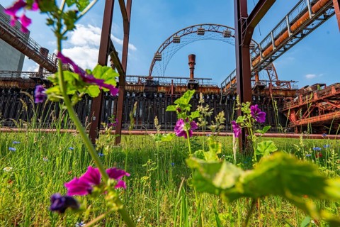 Zollverein Coal Mine Industrial Complex World Heritage Site, Zollverein Coking Plant, colourful