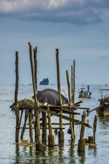 Remains of a jetty at Phang Nga bay near Koh Yao Noi, seascape, seascape, nature, longtail boat,