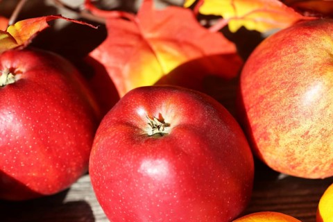 Apples and mandarins on a rustic wooden table as an autumnal motif