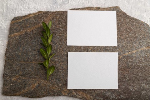 White paper business card, mockup with natural stone and boxwood branch on gray concrete background
