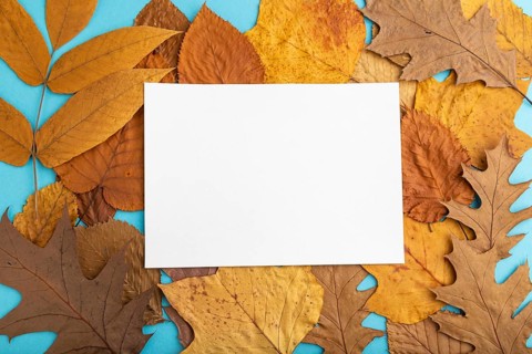 Composition with yellow and brown autumn leaves and white paper mockup on blue pastel background.