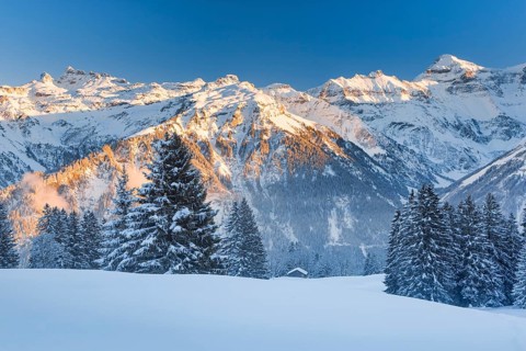 View from Braunwald to the Freiberge mountains Kärpf, Hanenstock and Hausstock in the Glarus Alps,