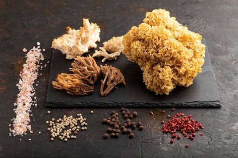 Raw Sparassis (Cauliflower Mushroom), Hericium, Clavaria (coral mushroom) on black concrete