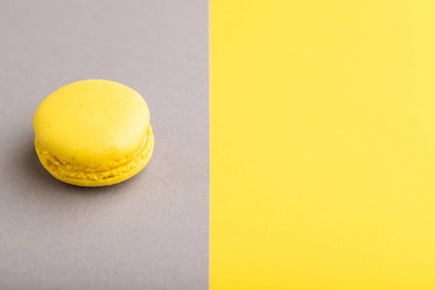 Yellow macaroon on trendy gray and yellow background. side view, copy space, close up, still life.
