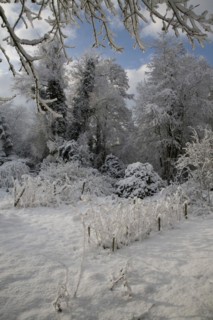 White winter snow countryside landscape