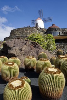 Cactus garden, Jardin de Cactus, designed by the artist César Manrique, behind the restored gofio