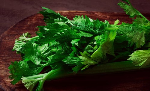 Fresh bunch of celery, top view, no people, on a dark background
