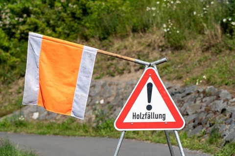 Signpost for wood felling, work on a public road, Meschede, North Rhine-Westphalia, Germany, Europe