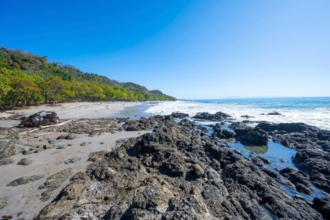 Tropical sandy beach with palm trees, Playa Montezuma, Montezuma, Nicoya Peninsula, Puntarenas