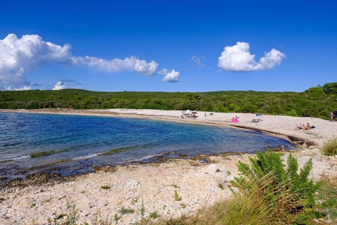 Beach, bay, Plaža Liska Slatina, Mali Losinj, island of Losinj, Kvarner Gulf Bay, Croatia, Europe