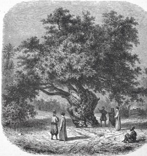 Historic, digitally restored reproduction from a 19th century original, record date not stated,