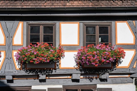 Detailed view of a half-timbered house in the old town of Ulm, Kässbohrer house in the fishermen's
