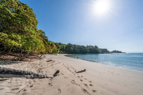 Idyllic tropical sandy beach, Playa Escondida, Manuel Antonio National Park, Puntarenas district,