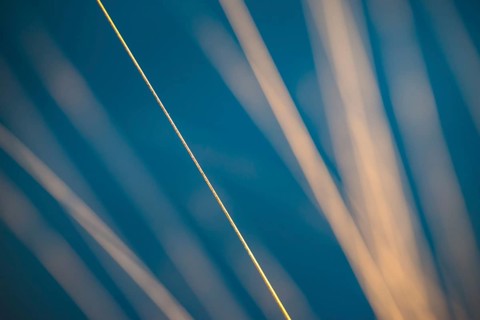 Stalks of moor grass (Molinia) glow in front of dark, blue moor water in the warm light of the
