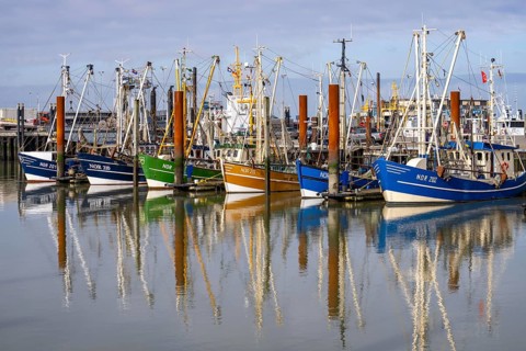 Fishing boats, shrimp boats in the harbour of Norddeich, Lower Saxony, Germany, Europe