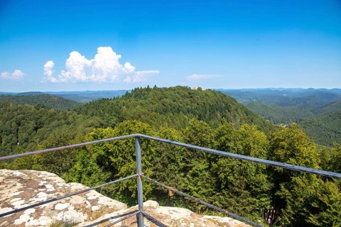 Cross-border castle hike in the Palatinate Forest-North Vosges biosphere reserve: View from