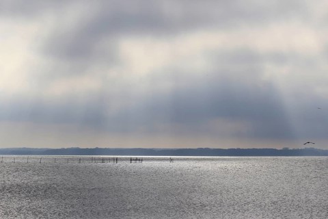 Usedom, on the Achterwasser, September, Mecklenburg-Western Pomerania, Germany, Europe