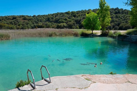 Clear lake with ducks and fish, surrounded by green trees and hills, under a blue sky, Baño de las
