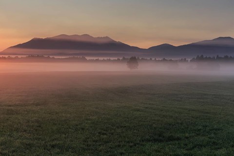 Foggy mood, morning light, mountains, summer, Loisach-Lake Kochel moor, behind Zwiesel, Alpine