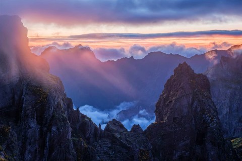 Mountains on sunset covered in fog and clouds with blooming Cytisus shrubs. Near Pico de Arieiro,