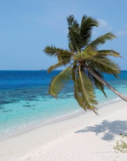 Beach with turquoise blue water shallow lagoon of Maldives island Filaidhoo in Indian Ocean, in the