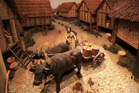 Model of Iron Age village life, Iron Age museum, Andover, Hampshire, England, UK