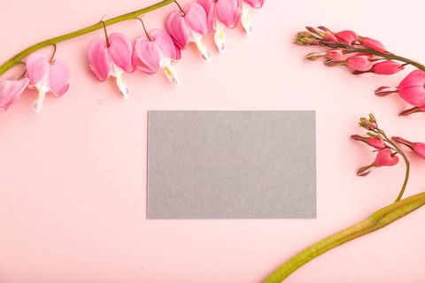 Gray business card with pink dicentra, broken heart flowers on pink pastel background. top view,
