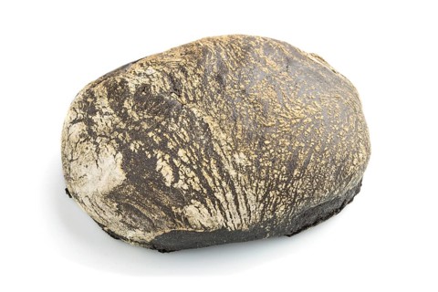 Fresh homemade black bread with flour isolated on white background. side view, close up