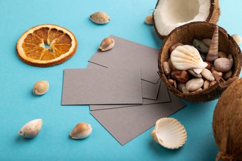 Gray paper business card with coconut and seashells on blue pastel background. Side view, copy