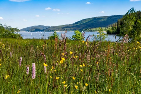Lake and mountains in summer, Schluchsee, Black Forest, Baden-Württemberg, Germany, Europe