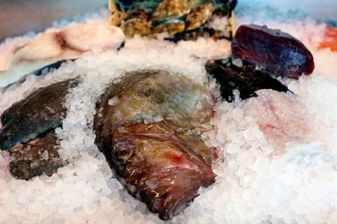Close-up of a fish counter with fish and seafood