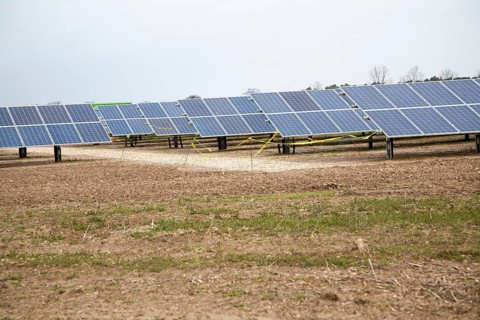 Solar array of photovoltaic panels in a large new solar park at Bucklesham, Suffolk, England,