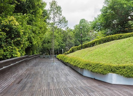 Modern wooden bridge over the jungle park. singapore